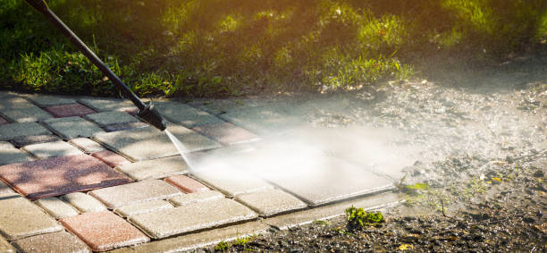 Best Sidewalk and Walkway Cleaning  in Trail Creek, IN